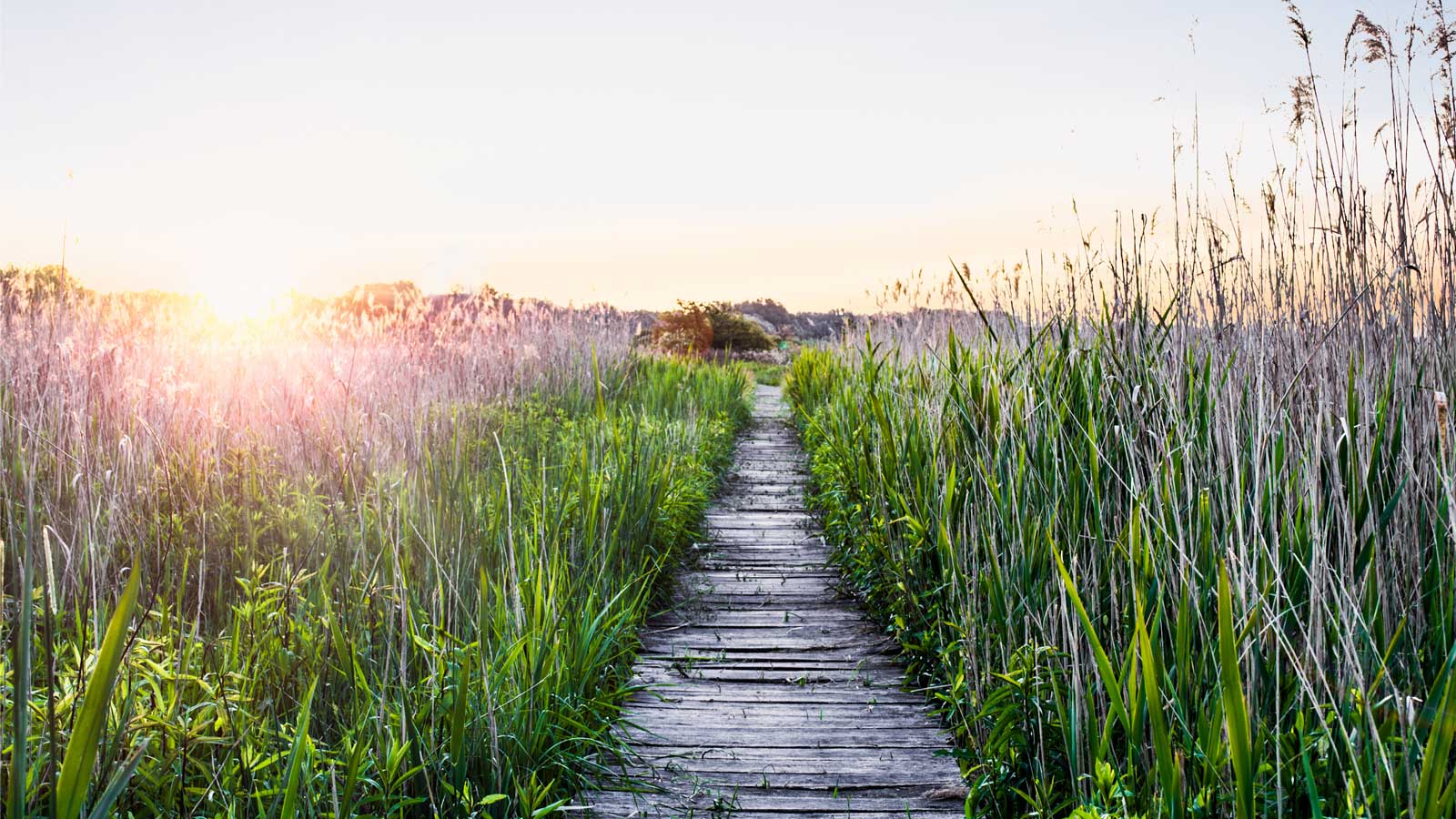 Unterstützen und helfen